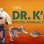 Exotic Animal ER del Dr. K - Temporada 9 - Próximamente en Disney + (EE. UU.) |  Qué hay en Disney Plus