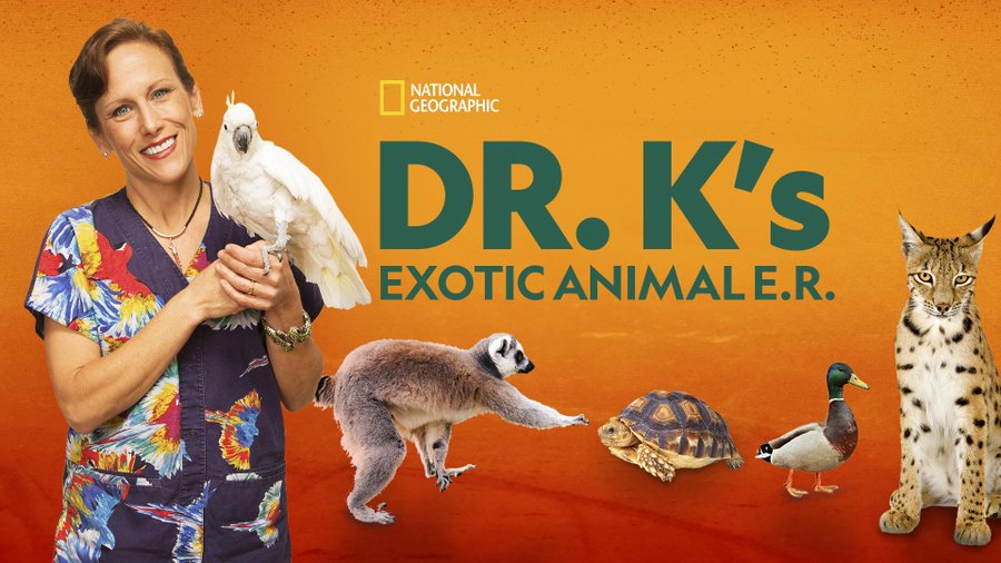 Exotic Animal ER del Dr. K - Temporada 9 - Próximamente en Disney + (EE. UU.) |  Qué hay en Disney Plus