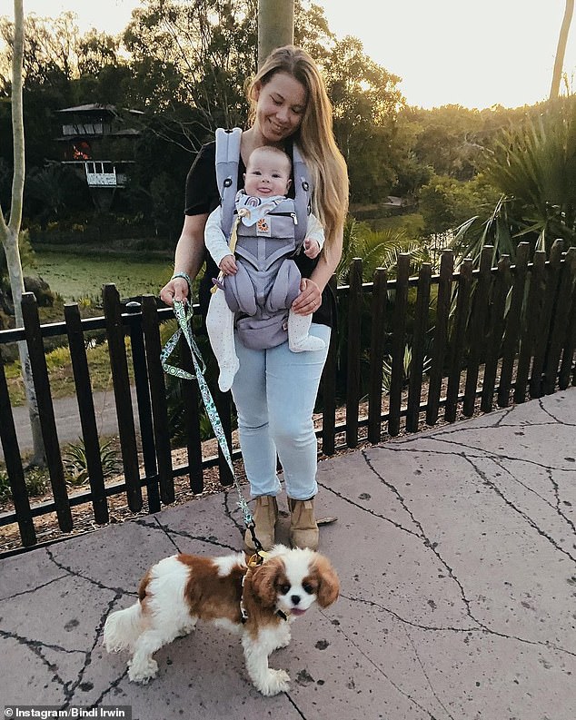 ¡Union familiar!  Bindi Irwin, de 23 años, fue a dar un paseo al atardecer con su hija Grace Warrior el miércoles mientras exploraban los terrenos del zoológico de Australia, en la Sunshine Coast de Queensland.