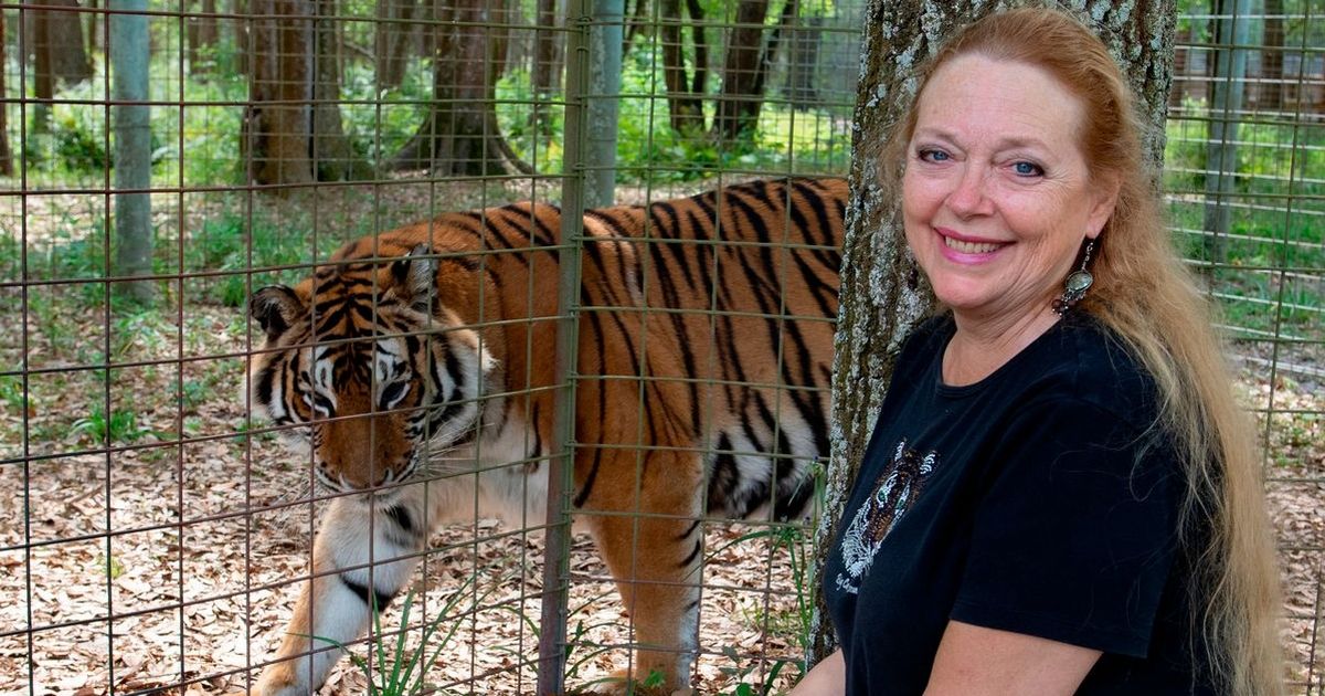 Carole Baskin demanda a Netflix para detener el lanzamiento de la nueva serie Tiger King