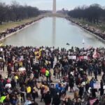 Cameos de pastel de carne en protesta contra el mandato en DC, miles asisten