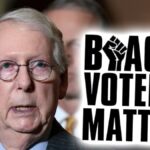 Cofundador de Black Voters Matter 'perturbado' por el comentario de Black Voters del senador McConnell