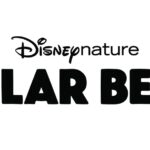 DisneyNature “Polar Bear” llegará a Disney+ el Día de la Tierra |  Qué hay en Disney Plus