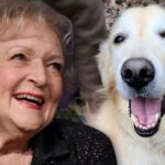 El desafío del cumpleaños de Betty White recauda miles, el perro se somete a una cirugía que le salva la vida