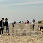 Nick Jonas y Priyanka Chopra dan un romántico paseo por la playa con perros