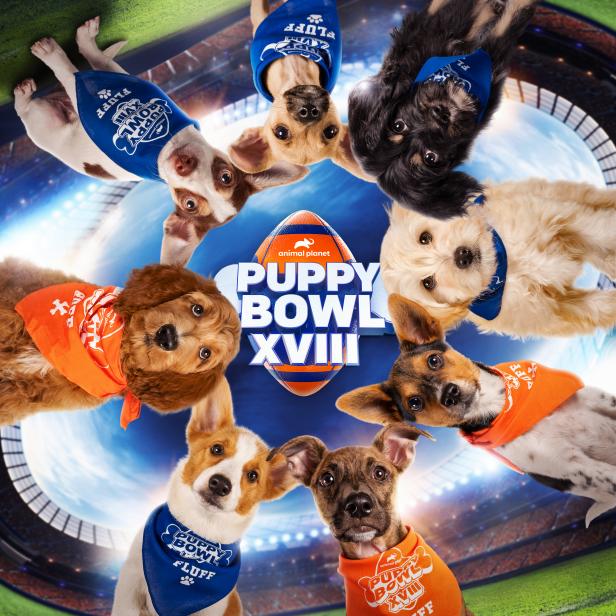 Puppy Bowl XVIII