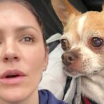 Wilma, la perrita de rescate muy especial de Katharine McPhee, muere