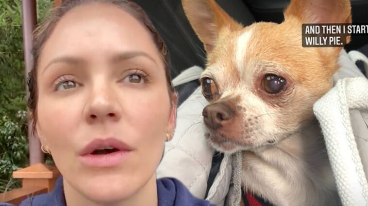 Wilma, la perrita de rescate muy especial de Katharine McPhee, muere