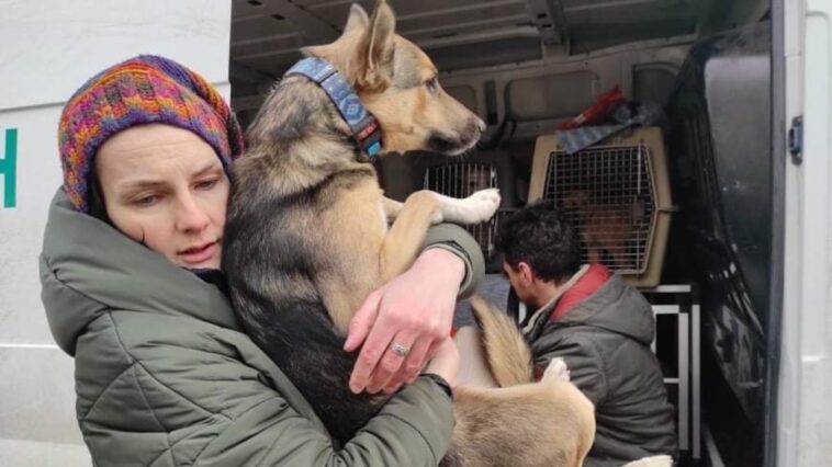 Mujer ucraniana Katya Kurletz ayudando a rescatar animales de ciudades bombardeadas