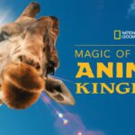 En marcha la filmación de la segunda temporada de “La magia del reino animal de Disney” |  Qué hay en Disney Plus