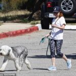 Fuera de casa: la actriz Isla Fisher, de 46 años, (en la foto) mostró una figura relajada con mallas y una camiseta mientras sacaba a pasear a su perra Maisy en Los Ángeles el sábado.