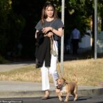 Saliendo: Lily Collins, de 33 años, fue vista mientras paseaba a su perro Redford en West Hollywood el miércoles por la tarde.