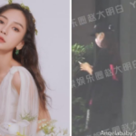 Los internautas critican a Angelababy por usar su teléfono todo el tiempo que estuvo con su hijo de 5 años en un parque temático