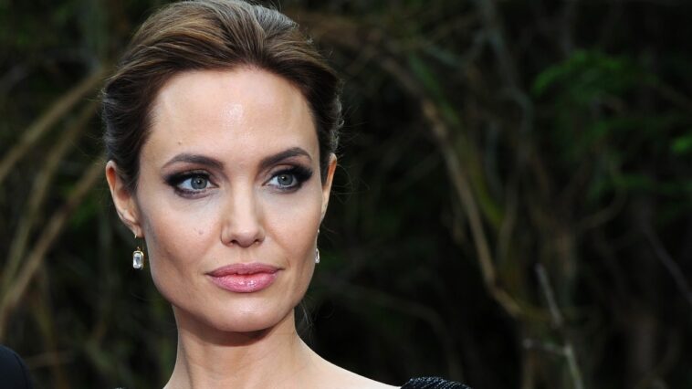 Angelina Jolie niega haber vendido acciones de bodega para lastimar a su ex Brad Pitt