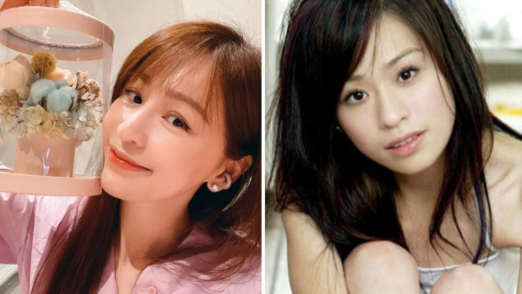 Cyndi Wang, quien ha estado plagada de rumores de cirugía plástica durante años, sufrió una enfermedad de la piel que hizo que su rostro cambiara