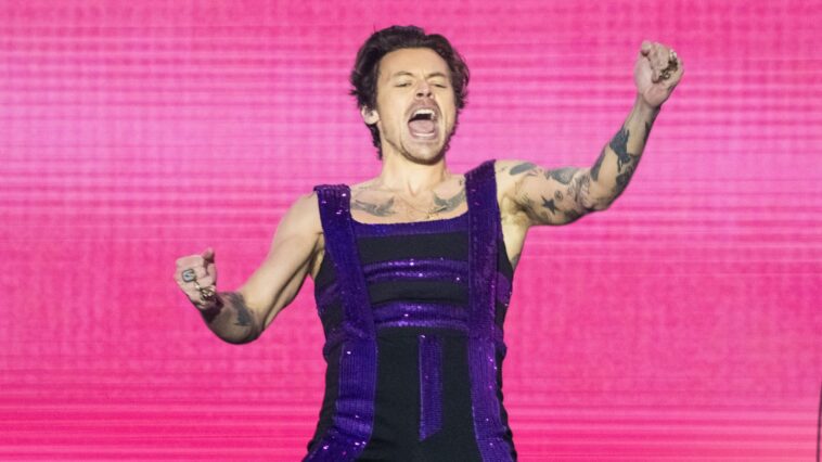 Harry Styles, un ícono, simplemente era demasiado famoso para interpretar a Elvis, otro ícono