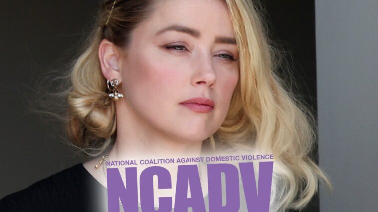 La Coalición Nacional contra la VD recibe una reacción violenta por apoyar a Amber Heard