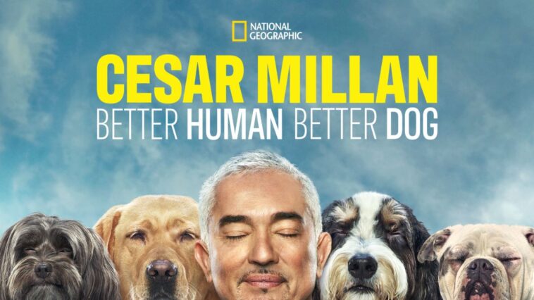 La temporada 2 de “Cesar Millán: Better Human, Better Dog” llegará pronto a Disney+ (EE. UU.) |  Qué hay en Disney Plus