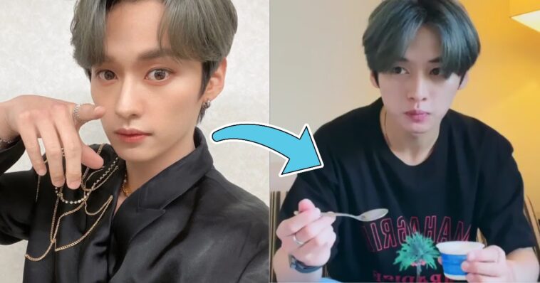 Lee Know de Stray Kids se vuelve viral por su adorable reacción al pudín japonés