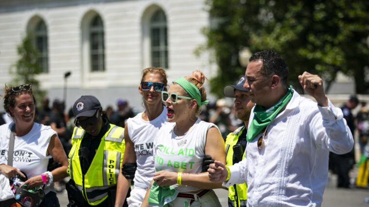 Busy Philipps fue arrestado mientras protestaba en DC