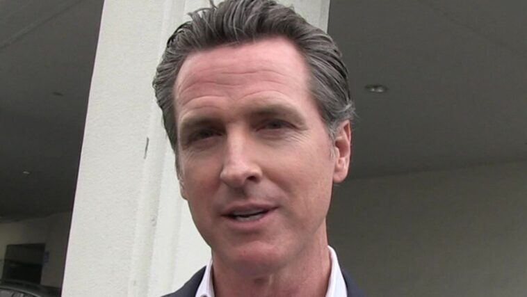 El gobernador de California Gavin Newsom trolea a DeSantis y a los floridanos en un anuncio de campaña