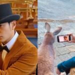 Jay Chou ve un nuevo video musical con un canguro;  Pregunta al animal si la canción está bien