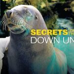 La temporada 3 de “Secrets Of The Zoo: Down Under” llegará pronto a Disney+ (EE. UU.)