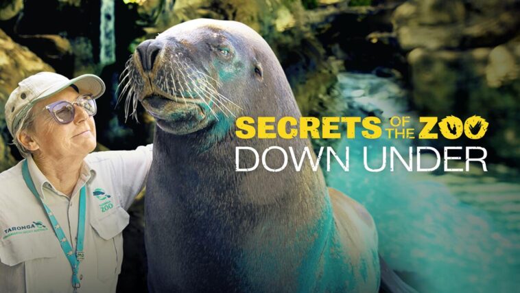 La temporada 3 de “Secrets Of The Zoo: Down Under” llegará pronto a Disney+ (EE. UU.)