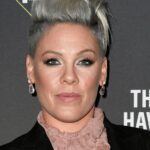 Pink lanza el sencillo de protesta “Irrelevant” y las ganancias se destinarán a When We All Vote