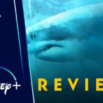 Revisión de tiburones de camuflaje