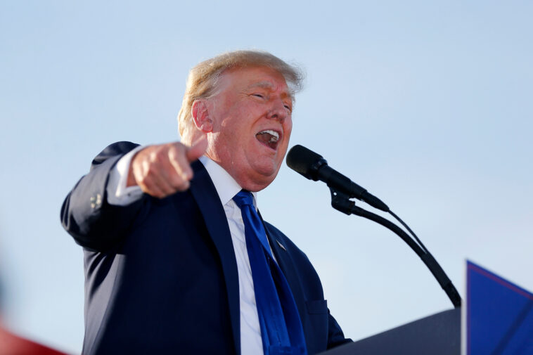 Former President Donald Trump speaks at a rally