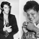 hound dog big mama thornton elvis presley