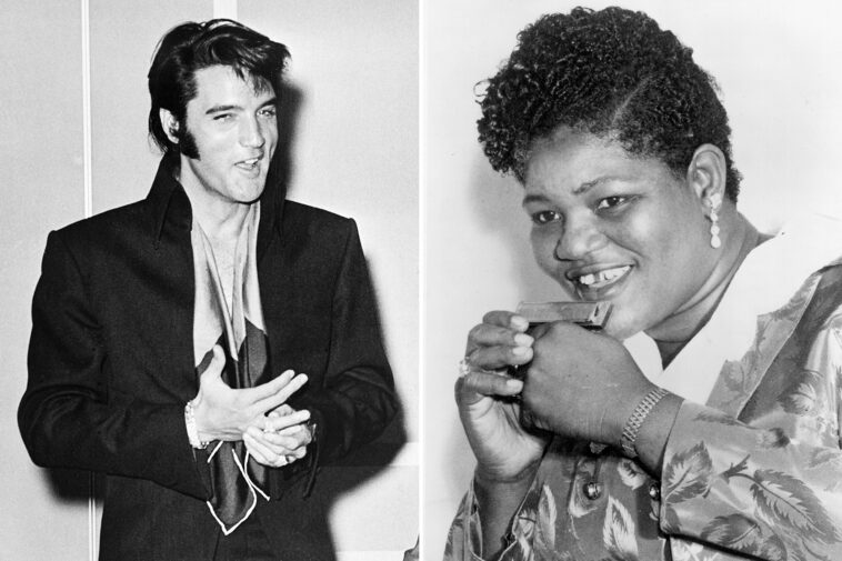 hound dog big mama thornton elvis presley