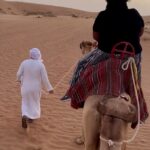 ¡Es cruel y les causa un sufrimiento tremendo!  Alison Hammond ha sido criticada por el grupo de derechos de los animales PETA después de montar un camello 'agotado' en publicaciones desde Dubai el sábado.