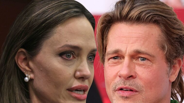 Angelina Jolie detrás de la demanda del FBI contra Brad Pitt, las fuentes de Brad llaman BS