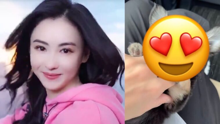 Cecilia Cheung, 42, tiene un nuevo hijo y es tan linda