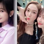 El precio de venta de Cyndi Wang ahora es más alto que el de la estrella del K-Pop Jessica Jung Después de que la popularidad se dispare gracias a las hermanas que hacen olas