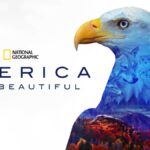 Filmación de osos que arañan árboles |  America The Beautiful – Lanzamiento del video detrás de cámaras