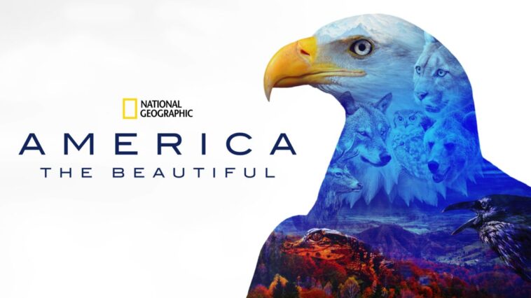 Filmación de osos que arañan árboles |  America The Beautiful – Lanzamiento del video detrás de cámaras