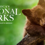 Lanzamiento del tráiler de "American's National Parks" de National Geographic