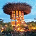 Los campamentos de safari más bellos y amados por Hollywood en África