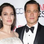 Se revelan fotos de los supuestos moretones de Brad Pitt en Angelina Jolie durante el asalto a un avión en 2016