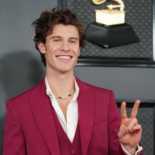 Shawn Mendes 'se lo está tomando con calma' después de cancelar la gira mundial