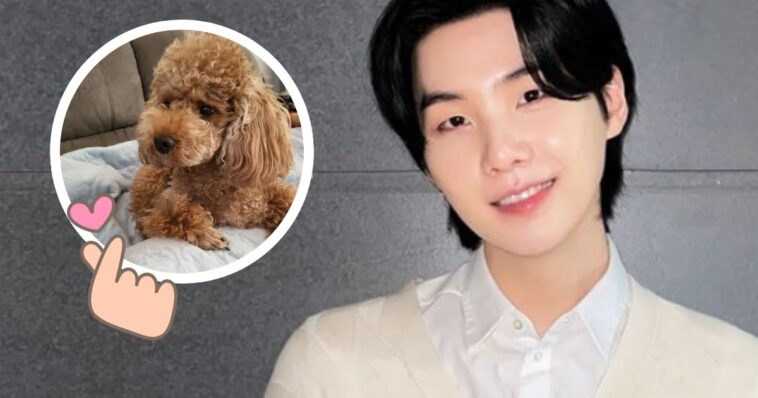 Suga de BTS se reúne con su perro Holly y demuestra que es el mejor papá canino