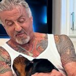 Sylvester Stallone se divorcia y se tatúa en el hombro la cara de su perro para tapar la de su exmujer, Jennifer Flavin