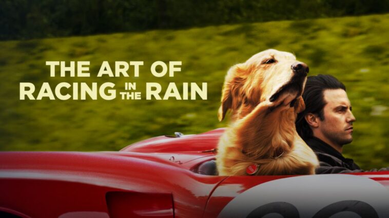 “The Art Of Racing In The Rain” llegará pronto a Disney+ (EE. UU.)