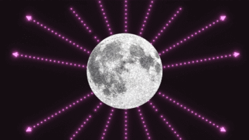 What Does Each Lunar Phase Mean? How To Use The 28-Day Moon Cycle To Your Advantage