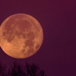 Cómo te afectará astrológicamente la Luna Llena de la Cosecha en Piscis