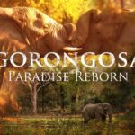 “Gorongosa: Paradise Reborn” próximamente en Disney+ (EE. UU.)