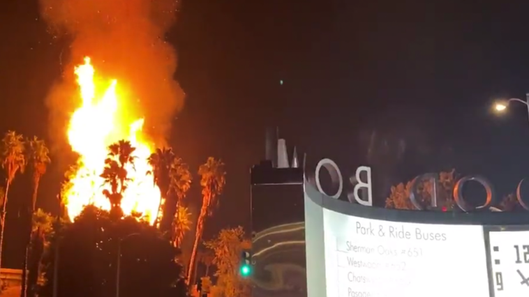Incendio en Hollywood Bowl después de cantar 'Sound of Music'